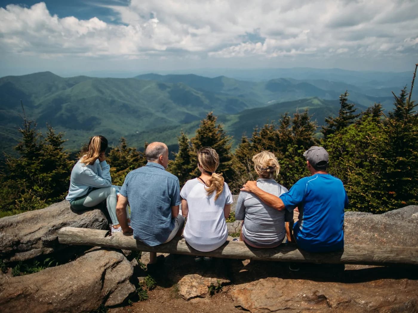 Original photo: five people seen from behind, sitting on a fallen trunk facing the ridges